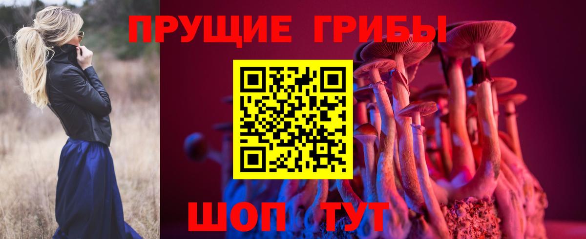 Псилоцибиновые грибы Magic Shrooms  Вход с VPN  Конаково 